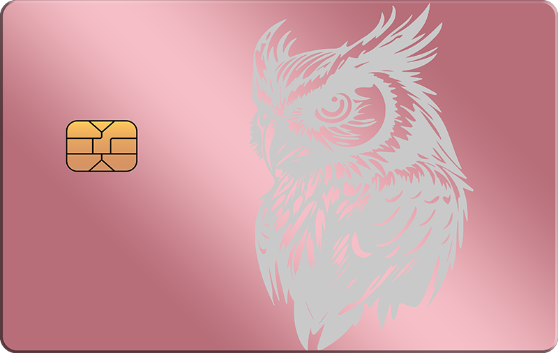 Owl 3
